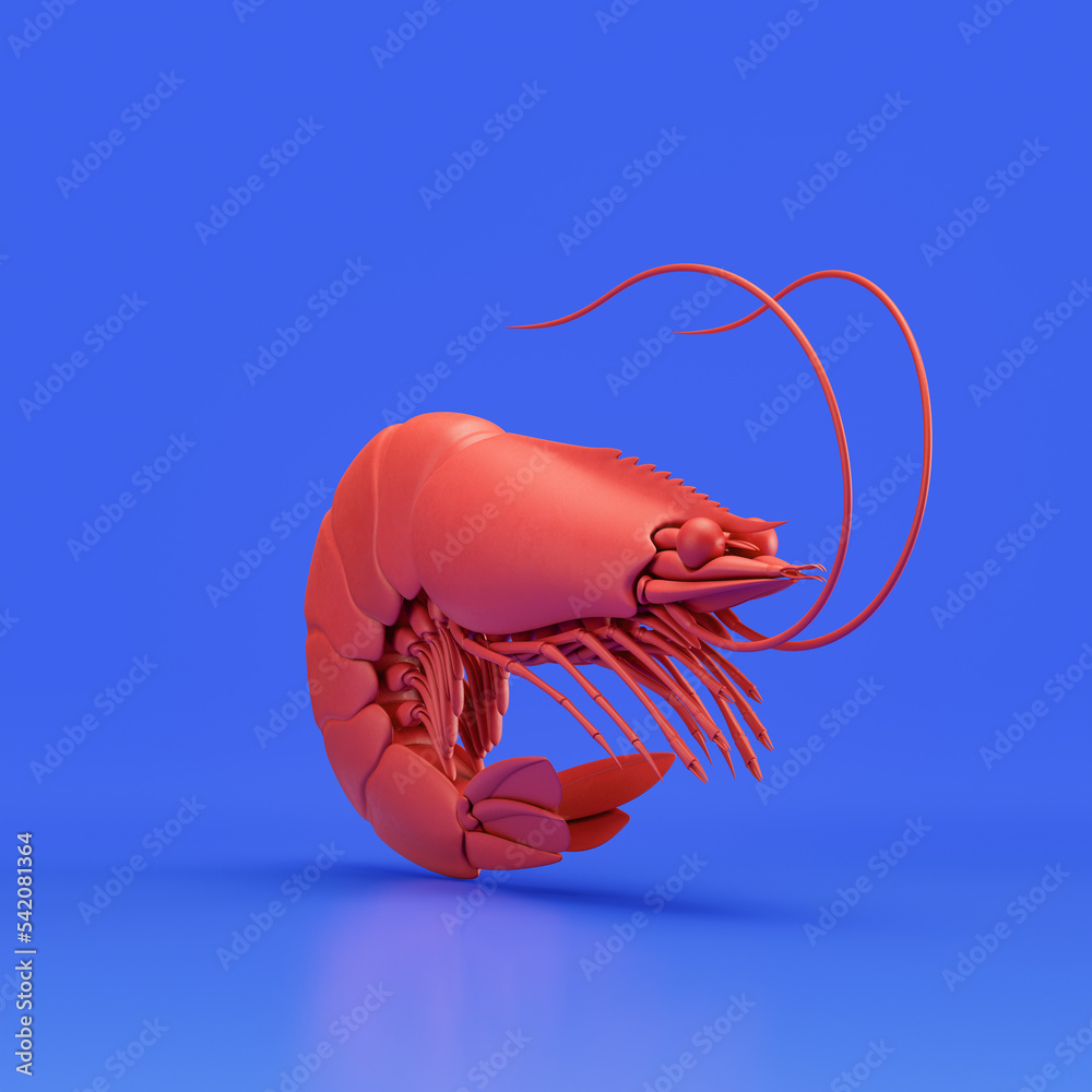 655 Shrimp Trawl Images, Stock Photos, 3D objects, & Vectors