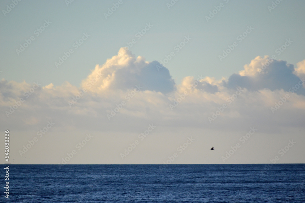 White cumulus clouds over the blue surface of the sea on sunny day. Beautiful natural background. Movement of clouds in the sky. Sky landscape. Seascape. White blue colors. Timelapse.