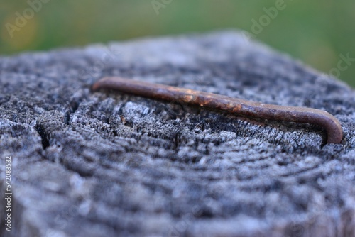 close up of fence post