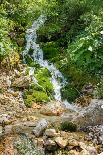 Vertical shot of a waterfall with stones and greenery