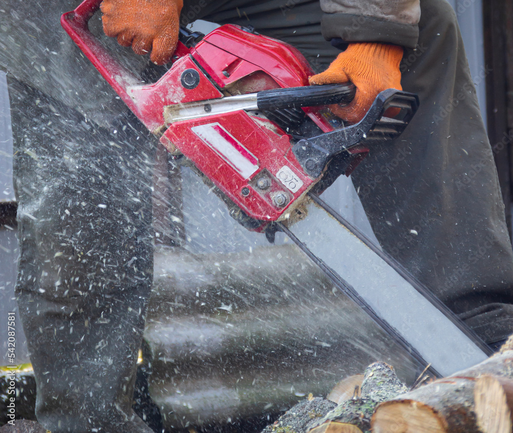 A man in construction gloves saws firewood and logs with a chainsaw, sawdust and dust fly. Harvesting firewood for the winter, sawmill