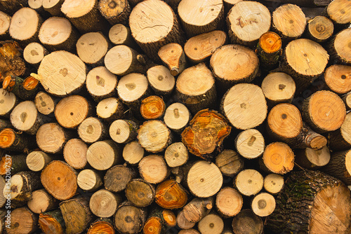 Wooden natural logs  chopped round logs of firewood. Harvesting firewood for the winter  log house. Background from round wooden logs  wooden background  tree core. Alternative heat sources