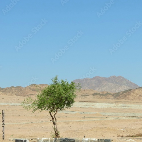 Egypte, Dahbad © michelpagano