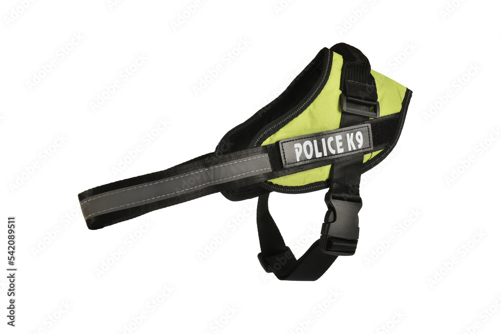 Dog collar Police K9