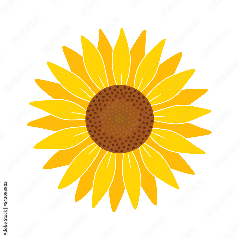 Fototapeta premium Yellow sunflower. Flat vector illustration isolated on white background.