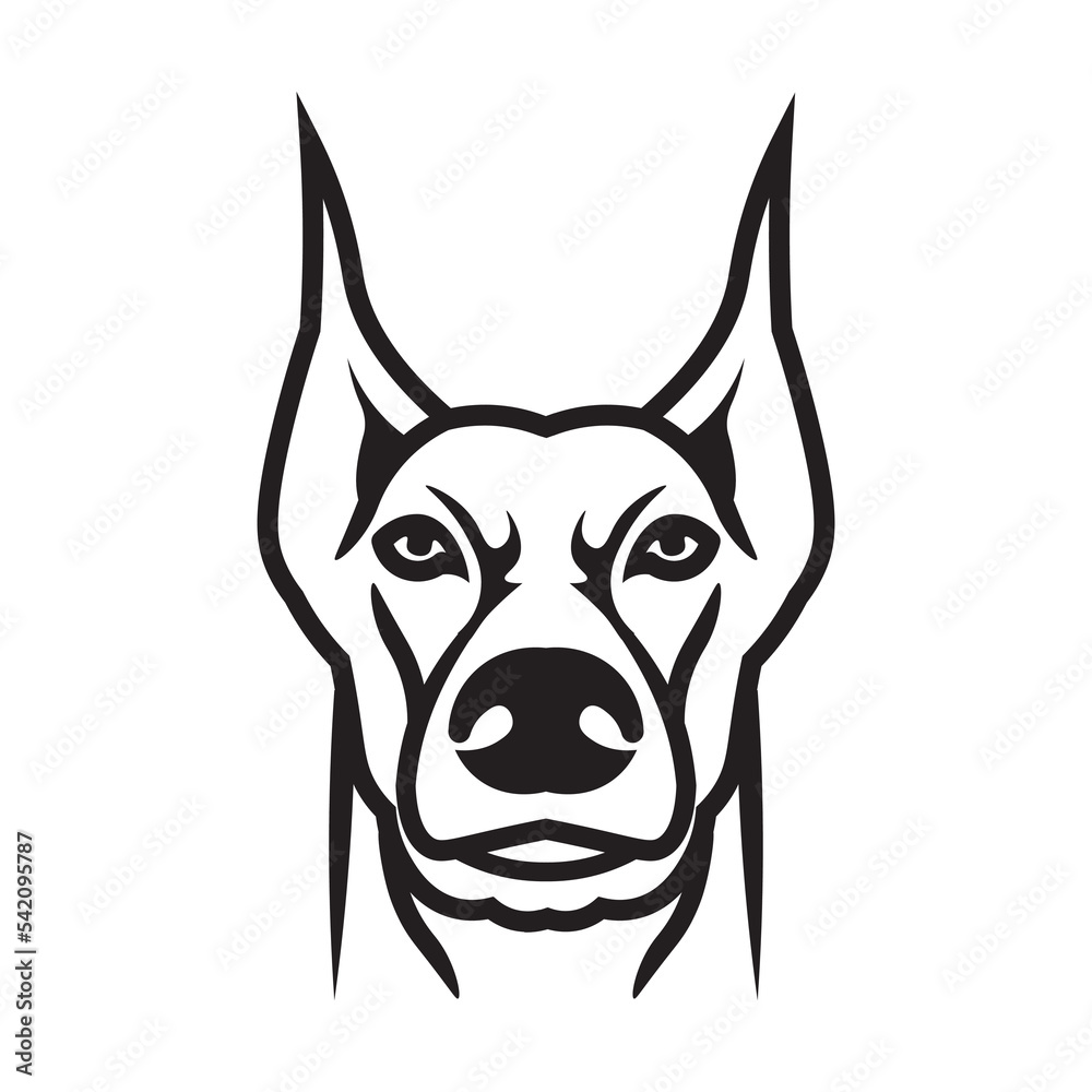 Doberman dog head face vector illustration perfect for t shirt design, dog training and brand product logo