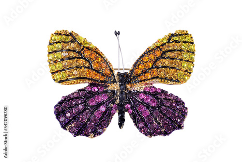 Butterfly brooch Fototapet