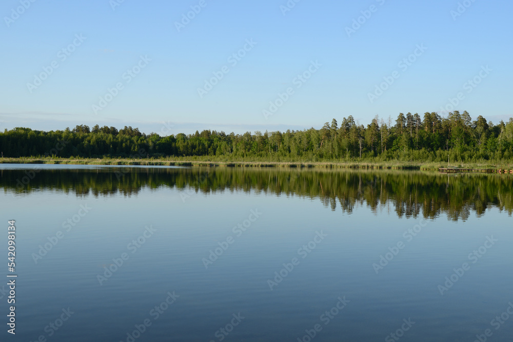 Beautiful lake landscape. Forest lake, calm water