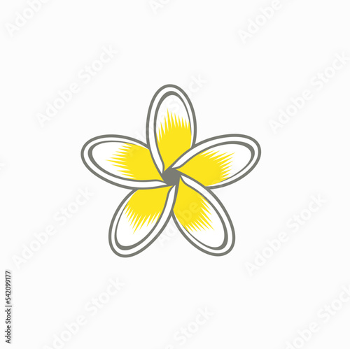 illustration of frangipani flower, vector art.