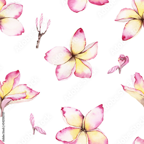 Plumeria Tropical Flowers seamless pattern