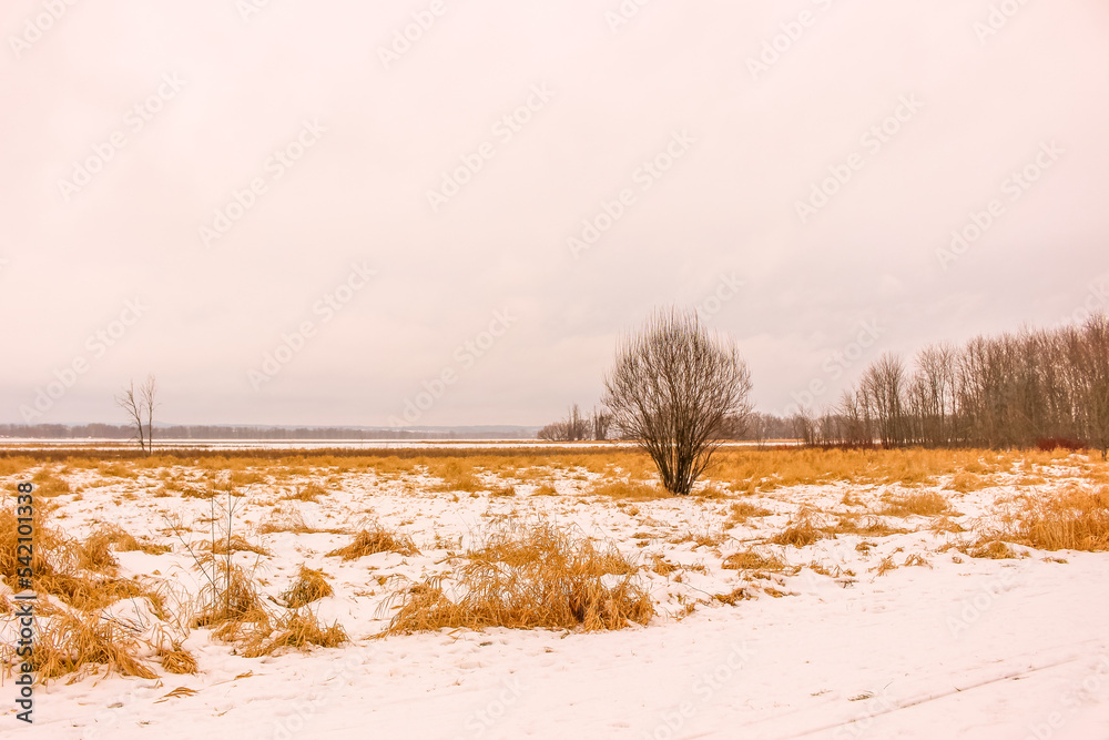 Beautiful winter landscape at the ravine Beautiful winter landscape at the ravine