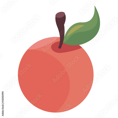 orange citrus fruit