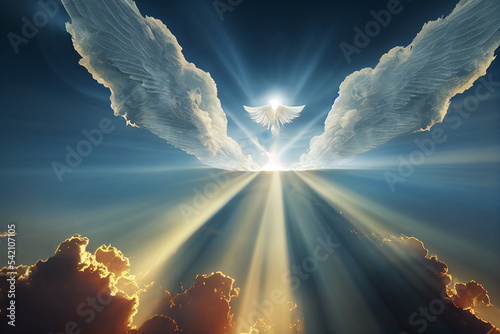 Fotomurale Angel spirit with long wings in heaven