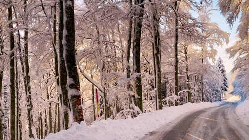 Wallpaper Mural SLOW MOTION: Sun peeking through snowy forest while drive along winter road. Wonderful winter day after freshly fallen snow. Driving on a plowed winding winter road under snow-covered forest trees. Torontodigital.ca