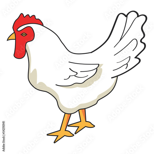 bird hen farm animal