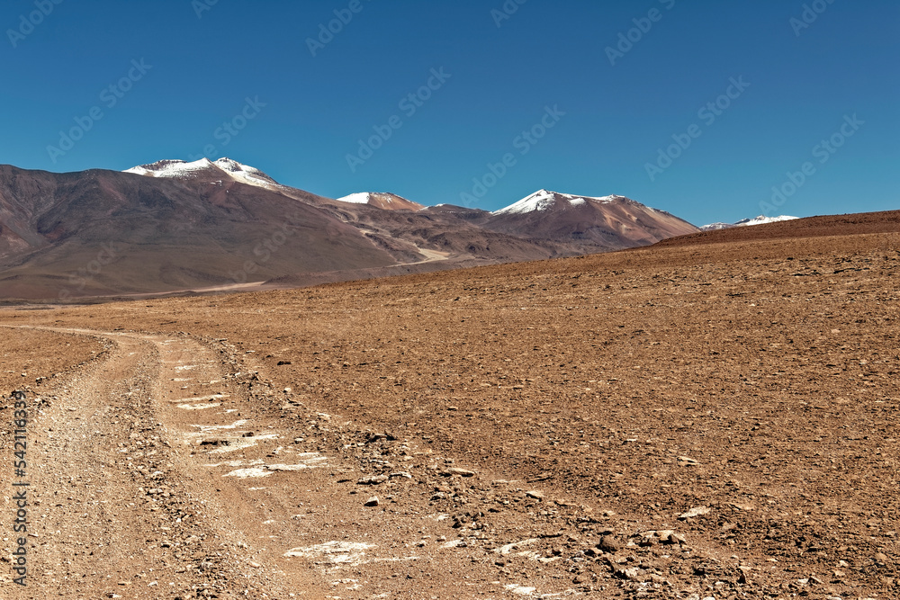 Chile - Atacama Desert with the volcano in the background.
