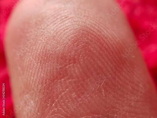 Macro photography of finger print