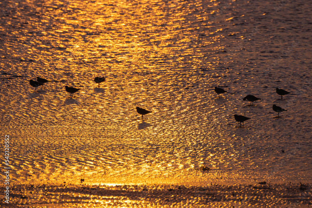 beautiful sunset reflection