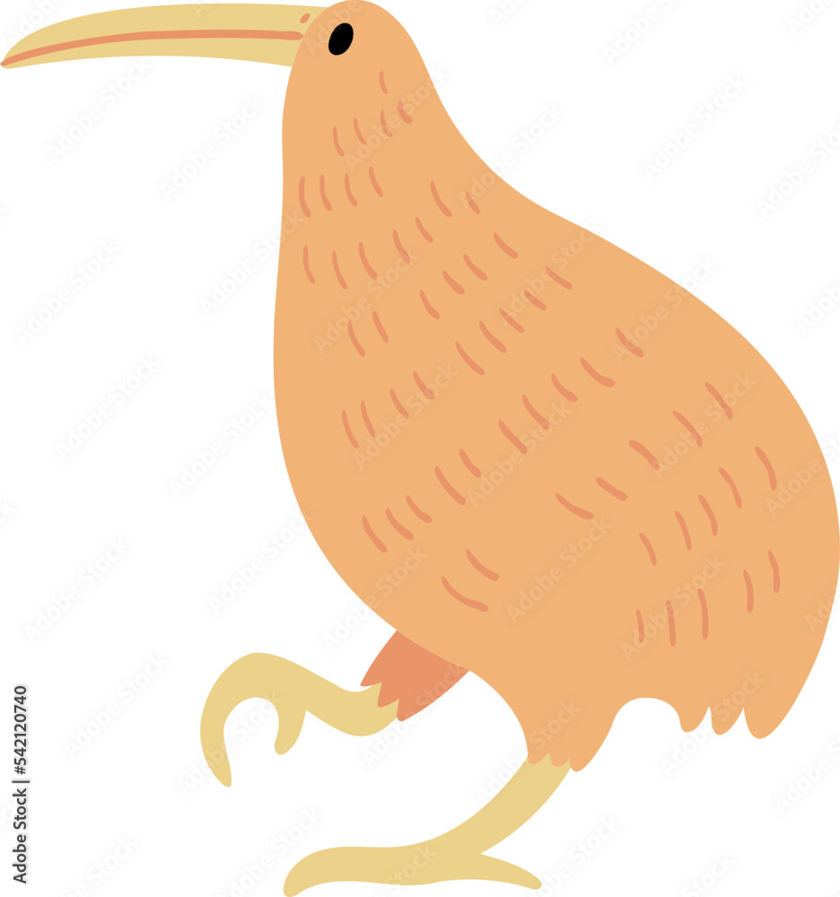 Kiwi Illustration. Kiwi Illustration.