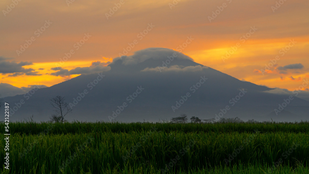 Green rice fields with mountains and sunrise sky in the background