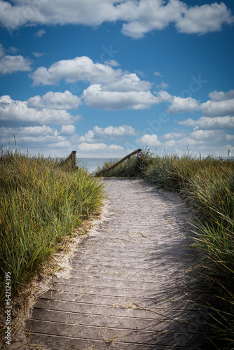 Fototapeta Naklejka Na Ścianę i Meble -  sandy path leads over the dunes to the Baltic Sea beach