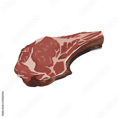 Flat vector of Rib eye steak. Raw rib eye steaks with bone. Fresh meat isolated on white background. Protein food for diet