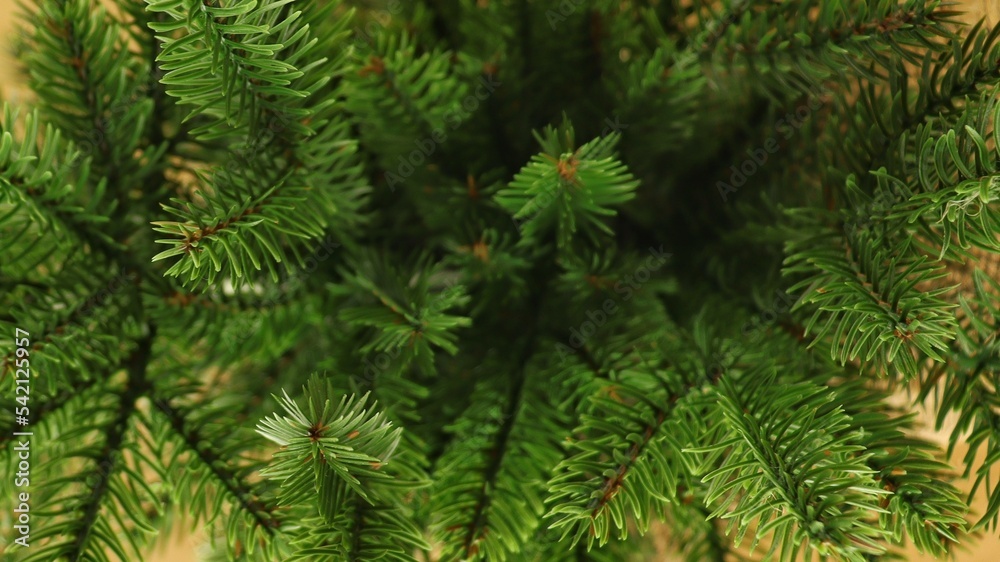 Artificial Christmas tree close-up. Spruce branches