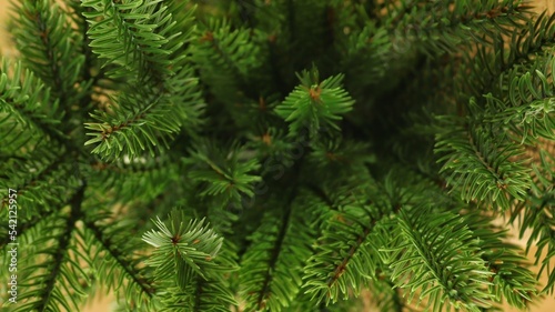 Artificial Christmas tree close-up. Spruce branches