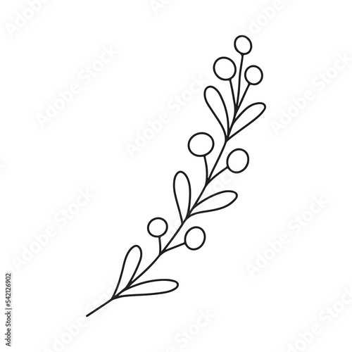 Hand drawn minimalist branch with leaves and berries. Black contour line outline vector illutration in minimal doodle style. Winter holidays floral clip art  greenery