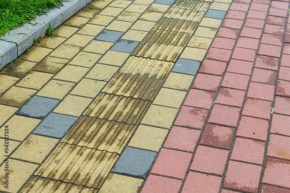 Fototapeta premium Paving stone walkway with special sensory and guiding area.