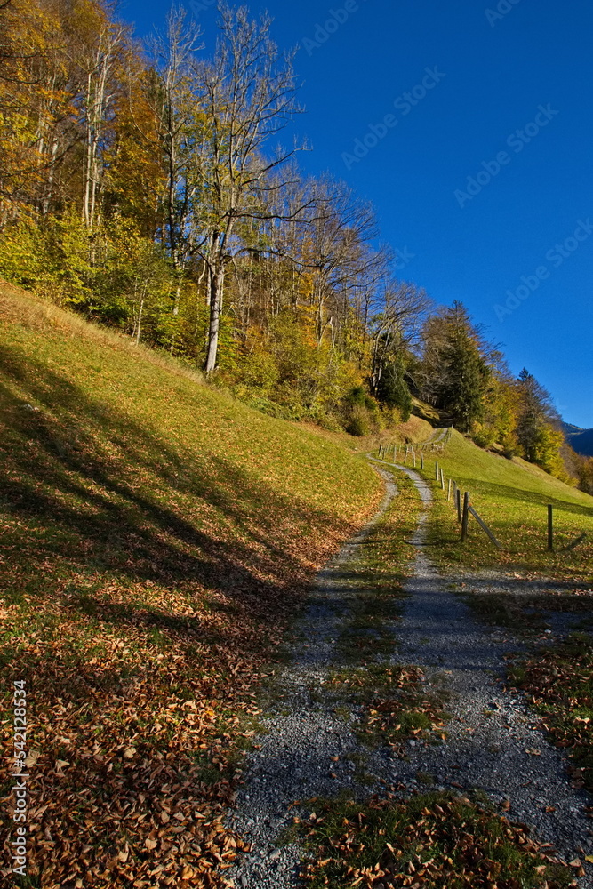 schweiz herbst landschaft  farben der Landschaft ruhe erholung landwirtschaft erholung relax entspannung wandern blauer Himmel 