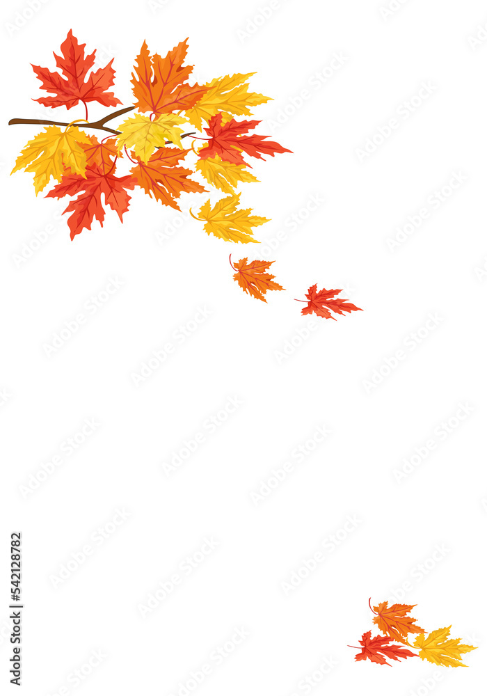 Autumn Frame With Falling Maple Leaves isolated on Transparent ...