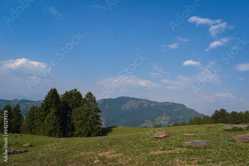 Green grasslands, cedar trees and mountain landscape scenery blue sky