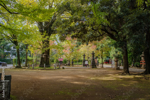 10月にイチョウが鮮やかに色づいている
