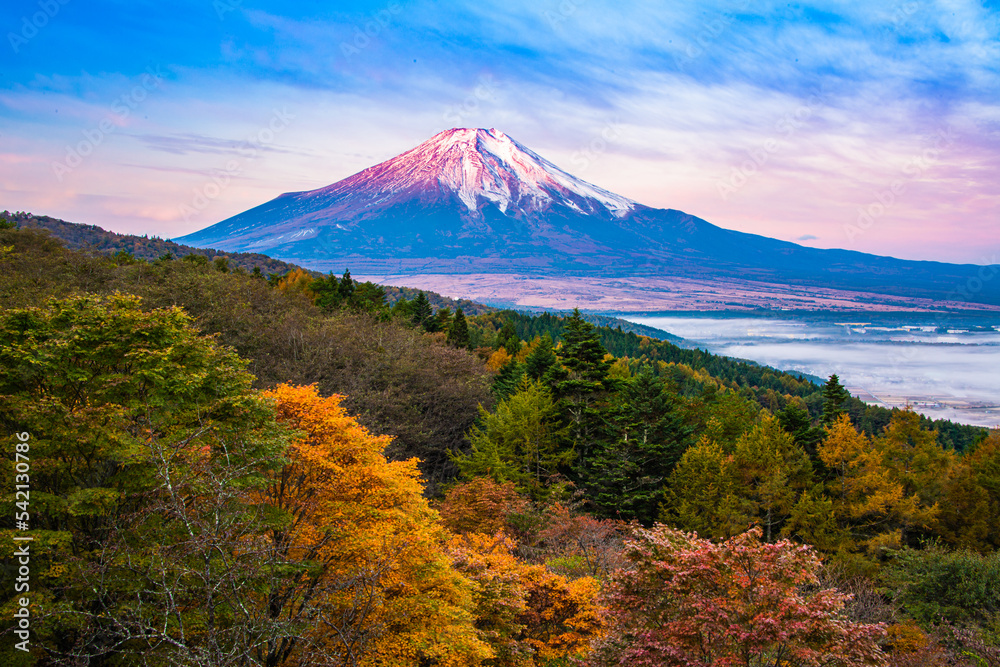 Fototapeta premium 富士山と紅葉