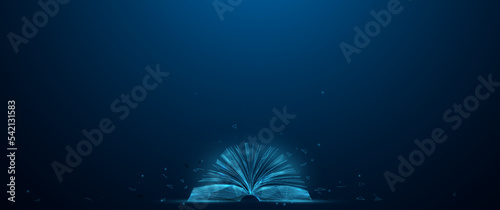 Open book side view. Technology digital online education. Wireframe and low polygon design. Vector illustration