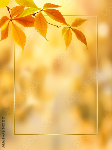 Autumn illustration with golden frame  soaring leaves and copy space. Golden autumn  background  leaves  banner  copy space.