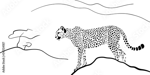 Cheetah in savannah vector illustration