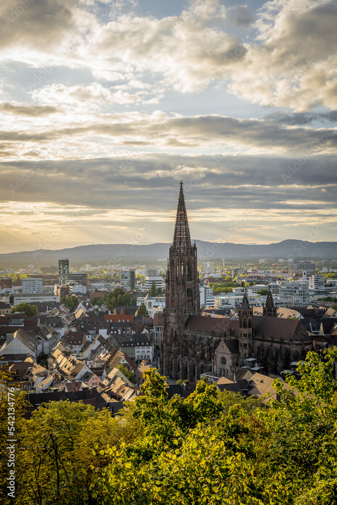 Freiburger Münster bei Sonnenuntergang