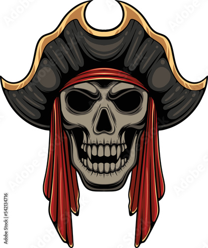 vector illustration of pirates skull