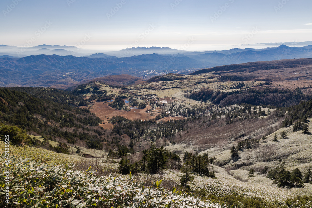 Naklejka premium 秋の高原の風景