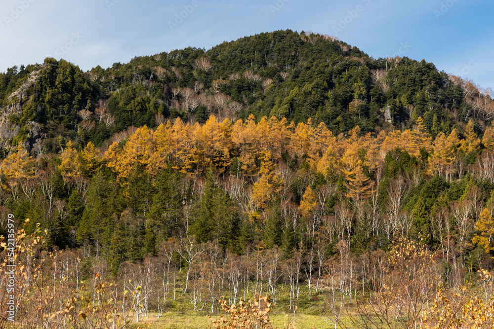秋の高原の風景 秋の高原の風景