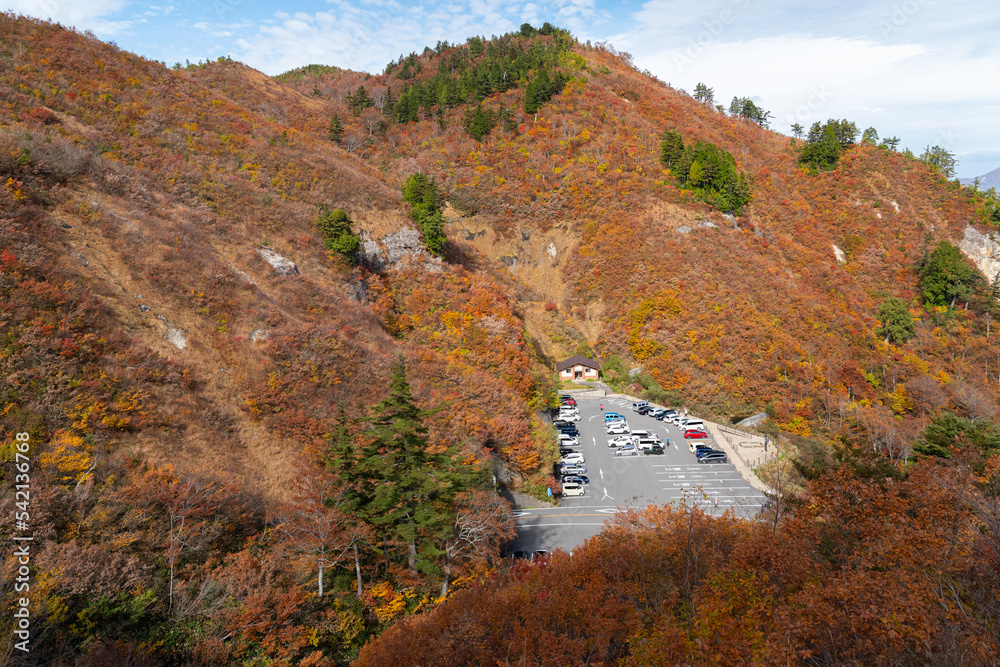 Obraz premium 紅葉を見ながら山に登る 岐阜県三方岩岳