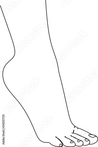 Bare female foot standing on tiptoe. Black and white linear silhouette.