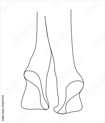 Bare female foot standing on tiptoe. Black and white linear silhouette.