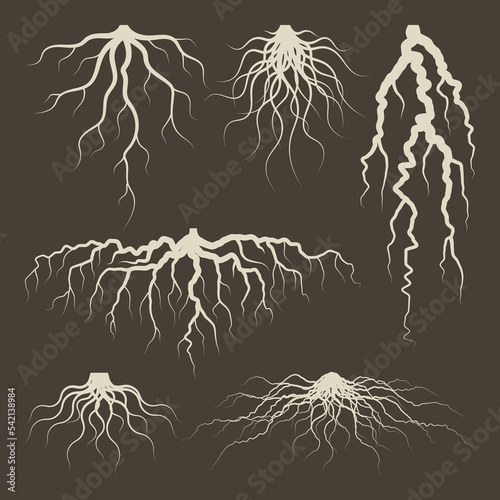 Various brown tree or shrub roots. Parts of plant, root system with tree stump. Dendrology, study of woody plants. Sketch drawing. Vector illustration