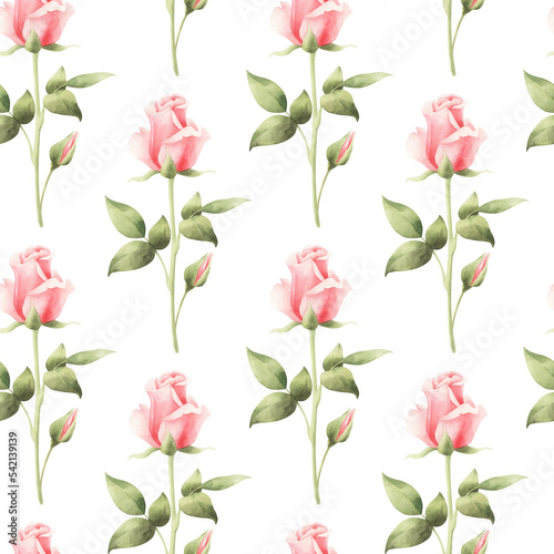 Seamless pattern with watercolor pink roses isolated. Floral pattern with watercolor flowers.