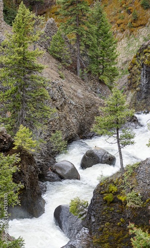 Vertical shot of a river flowing through green trees on a slope of a mountain