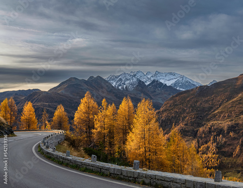 Breathtaking View on Grossglockner High alpine road, yellow glowing larch trees, Osttirol, Austria