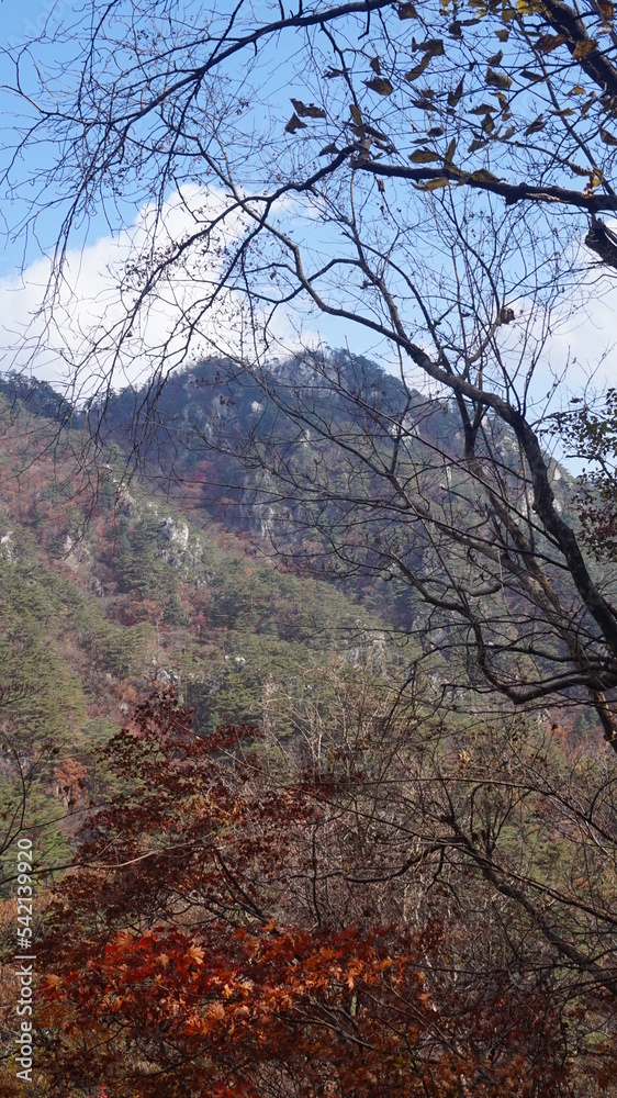 Yongmunsan Mountain in Yangpyeong, Gyeonggi-do. hiking in Korea. Korean mountains in autumn - Maple Yongmunsan Mountain in Yangpyeong, Gyeonggi-do. hiking in Korea. Korean mountains in autumn - Maple